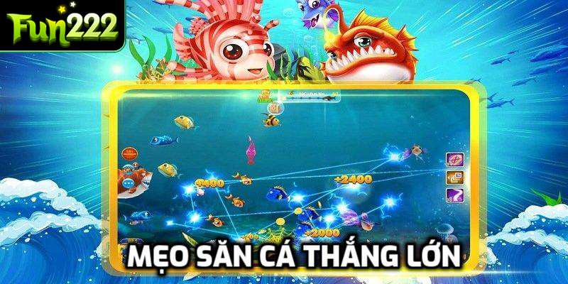 Mẹo săn cá thắng lớn